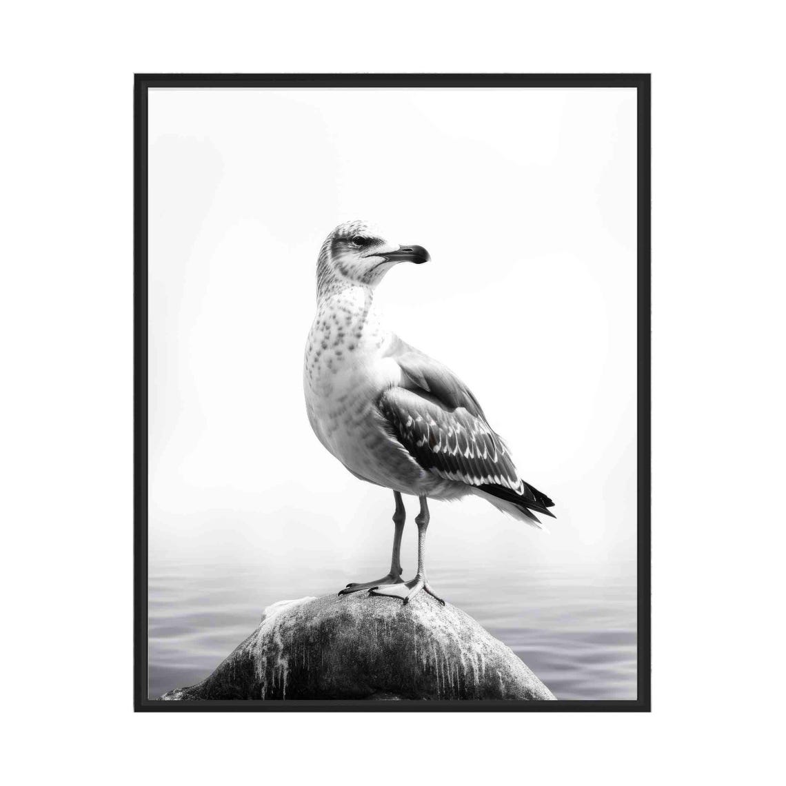 Seagull Black and White Coastal Seabird on Rock Portrait Poster