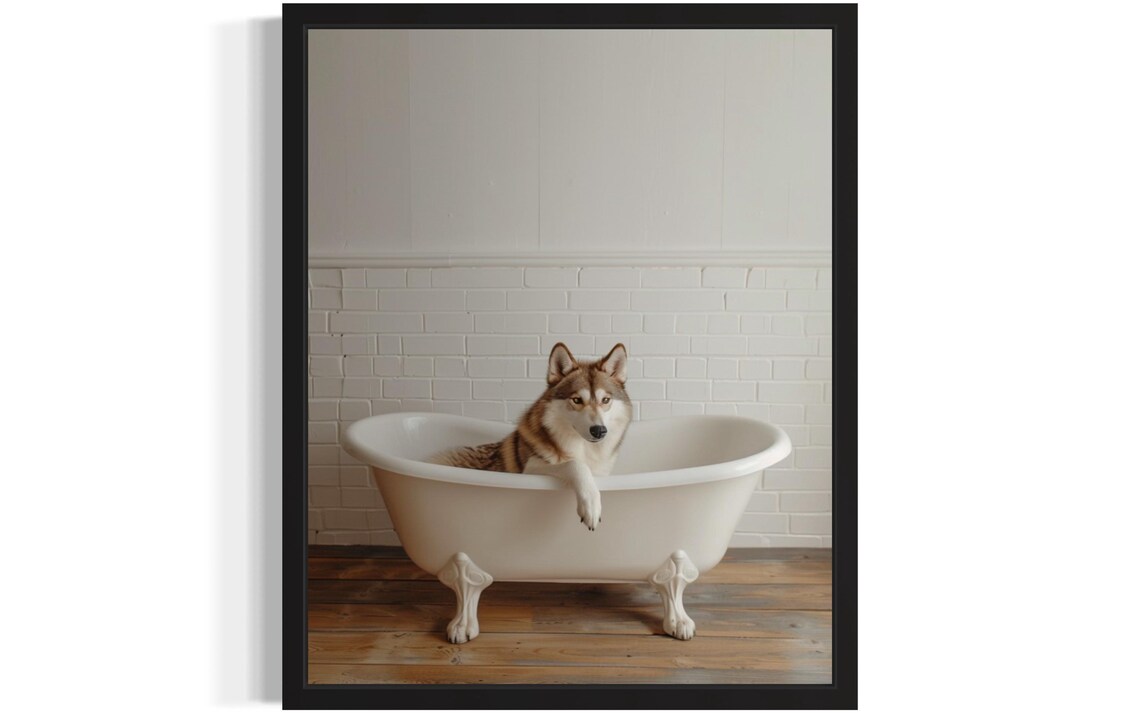 Husky Dog Resting in a White Clawfoot Tub Minimalist Photo Poster