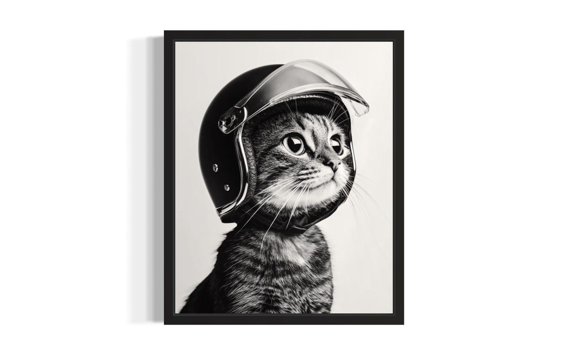 Black And White Cat In Motorcycle Helmet Side Profile Poster
