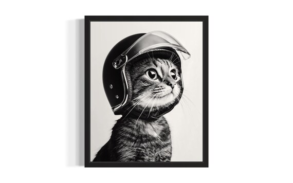Black And White Cat In Motorcycle Helmet Side Profile Poster