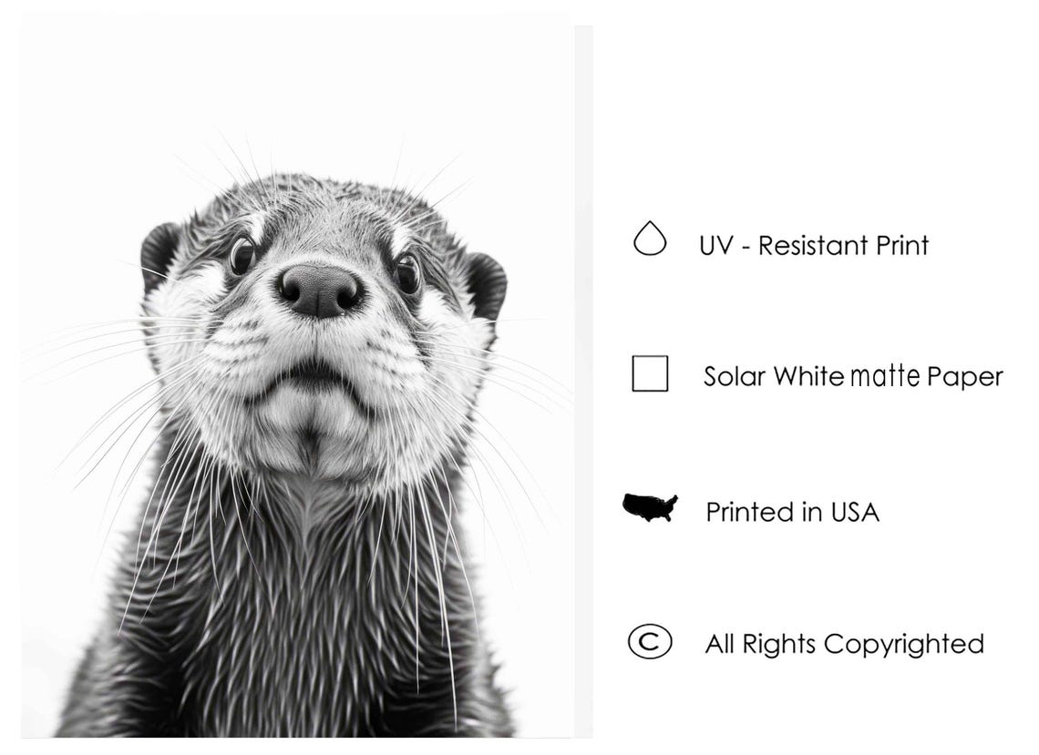Curious Otter Face Close Up in Black and White Portrait Poster - Image 3