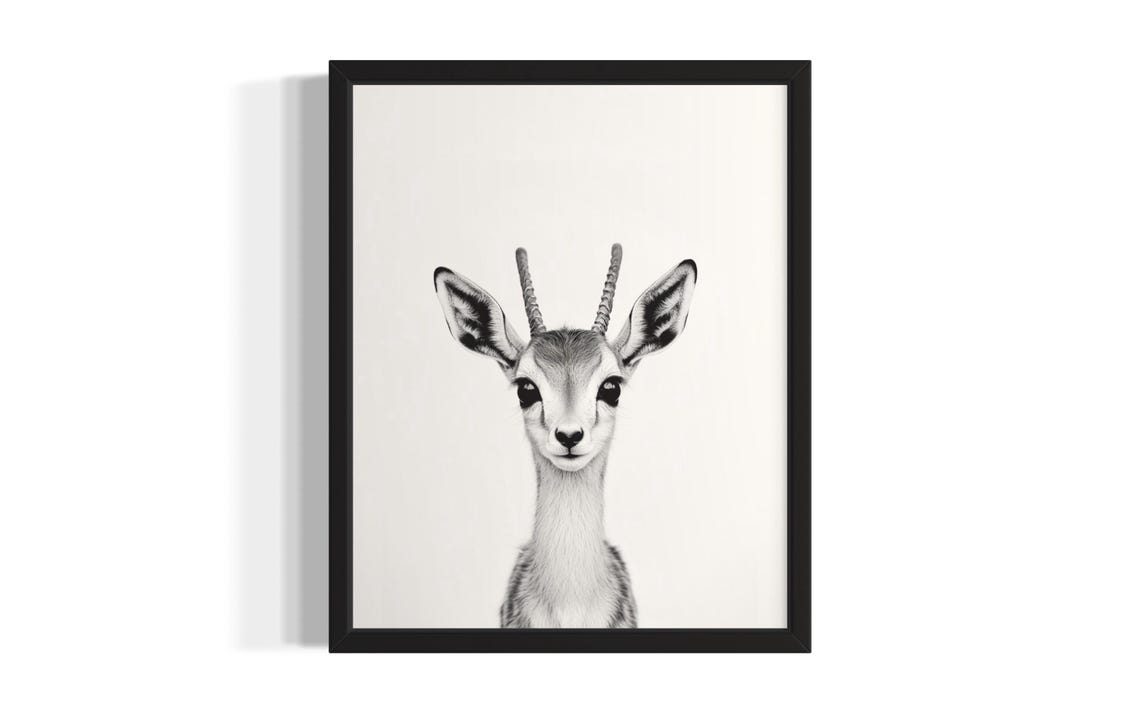 Baby Gazelle Black And White Antelope Nursery Portrait Poster