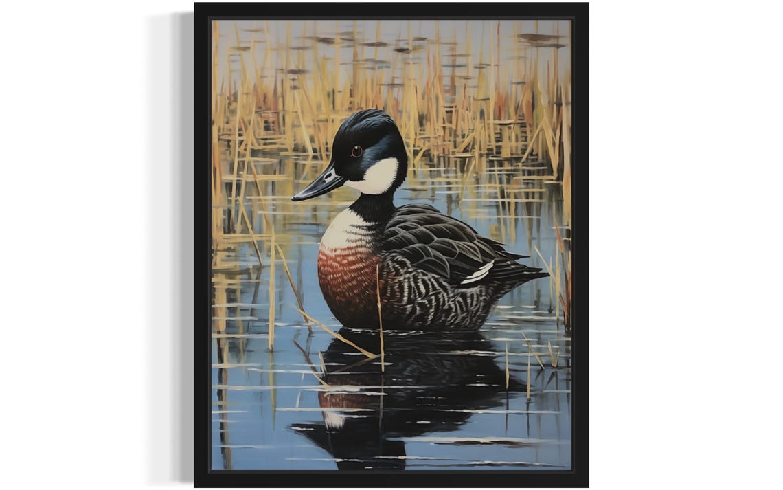 Ruddy Duck Swimming in Marsh Water Among Tall Reeds Vintage Poster