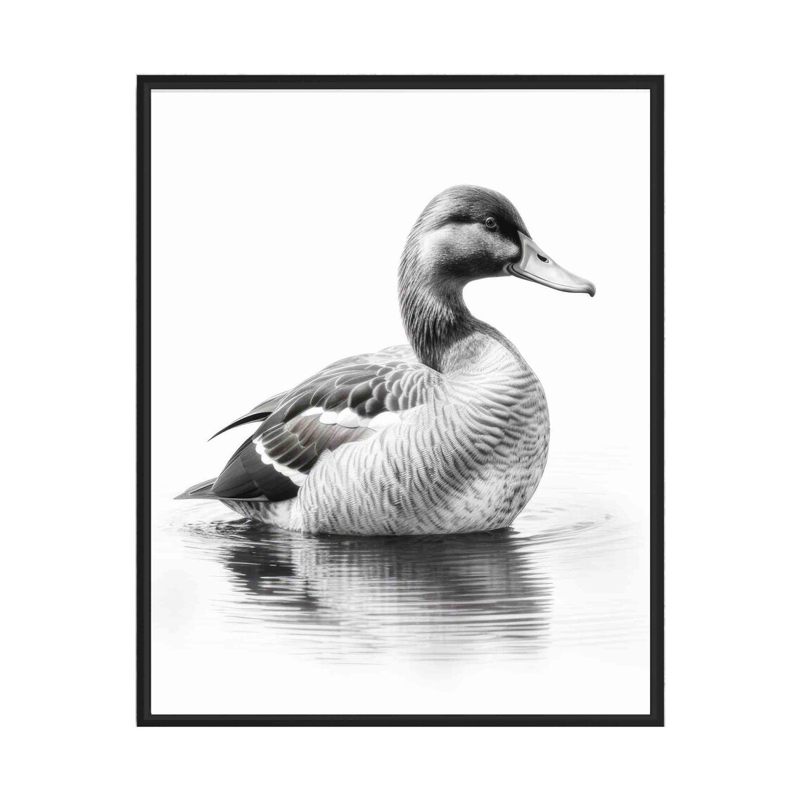 Serene Duck Swimming on Calm Water in Black and White Art Poster