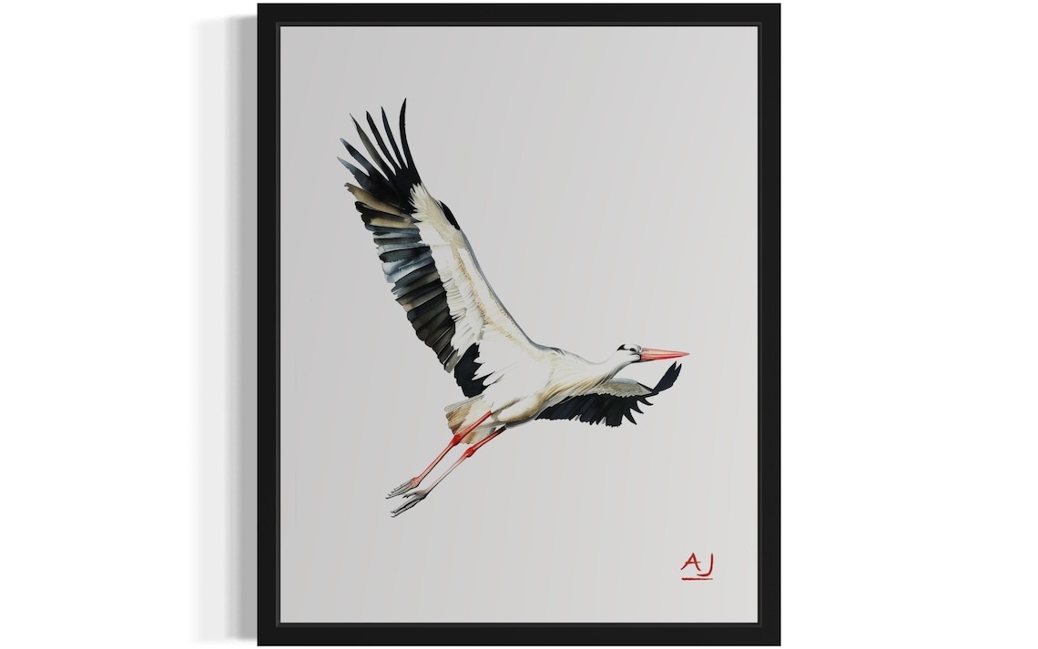White Stork Spreading Wings in Flight Watercolor Bird Painting Poster