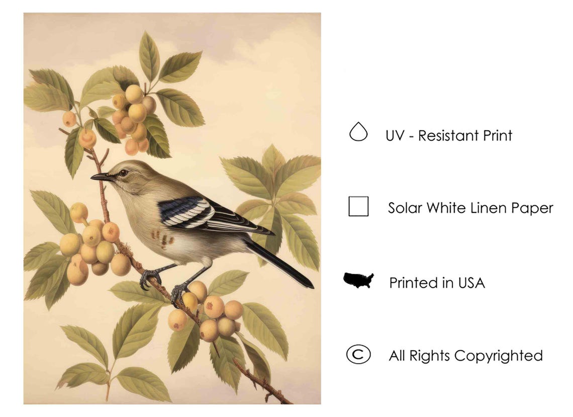 Mockingbird on a Berry Branch Vintage Bird Illustration Poster - Image 4