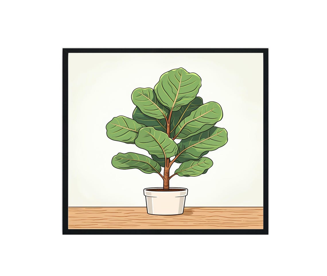 Fiddle Leaf Fig Plant White Pot Wooden Shelf Botanical Art Poster