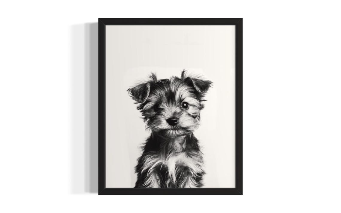 Yorkshire Terrier Puppy Portrait Black and White Scruffy Dog Poster