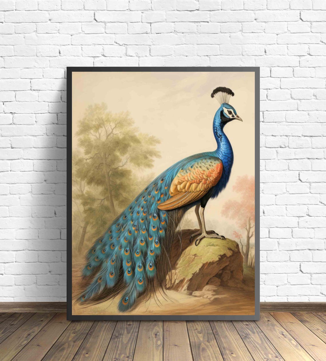 Indian Peafowl Standing in a Woodland Glade Vintage Bird Art Poster - Image 2