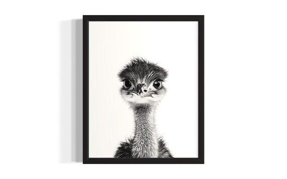 Baby Emu Black And White Nursery Minimalist Cute Animal Portrait Poster