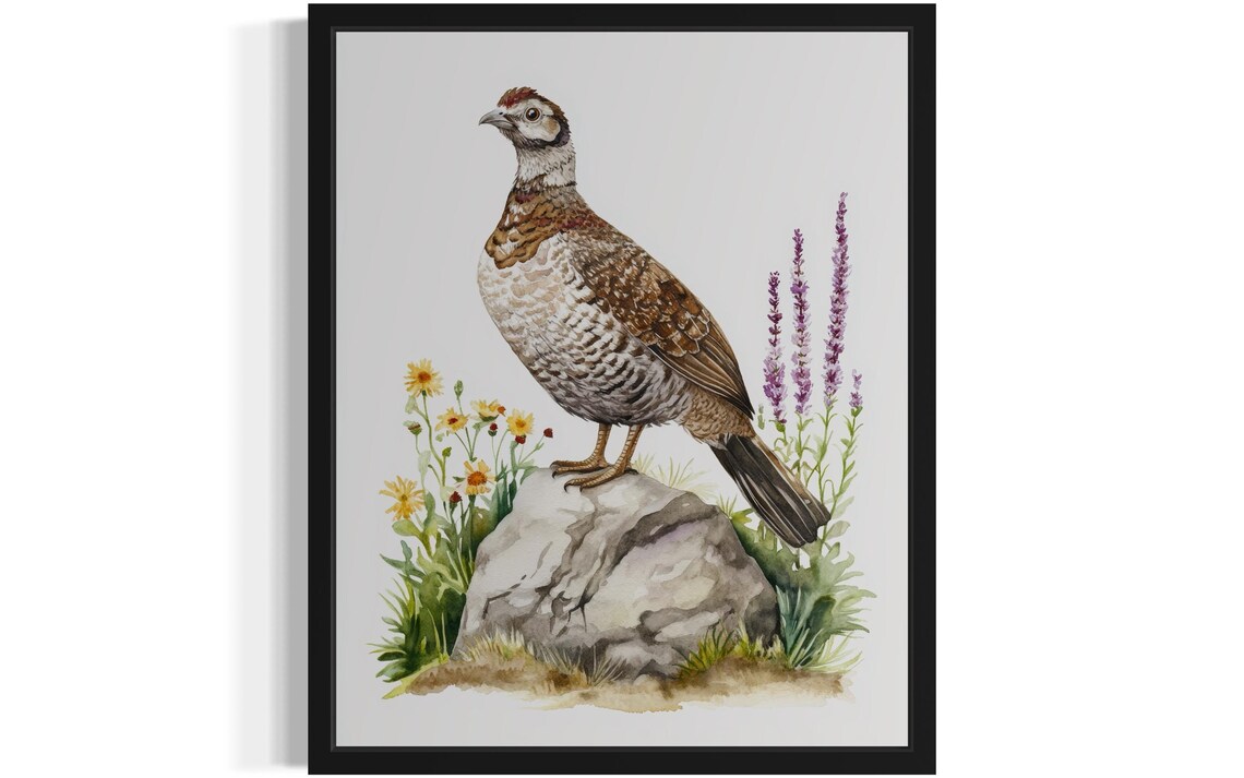 Grouse Standing on a Rock Amid Wildflowers Watercolor Bird Poster
