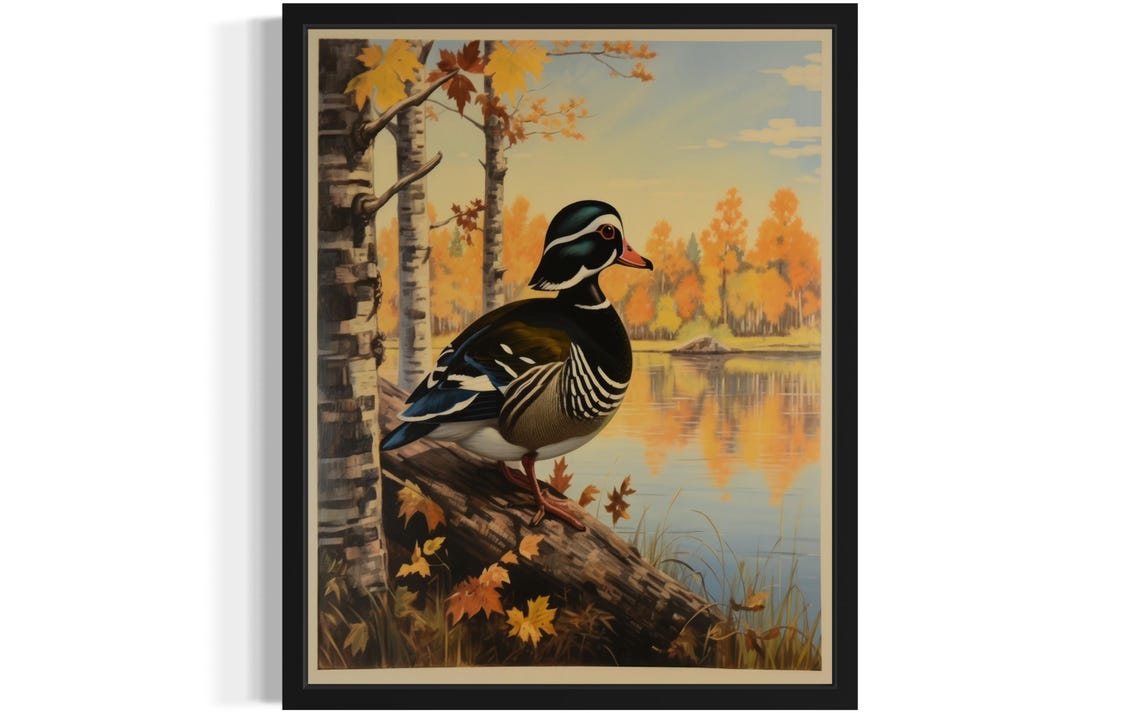 Wood Duck Resting On Autumn Log By Birch Lake Vintage Poster