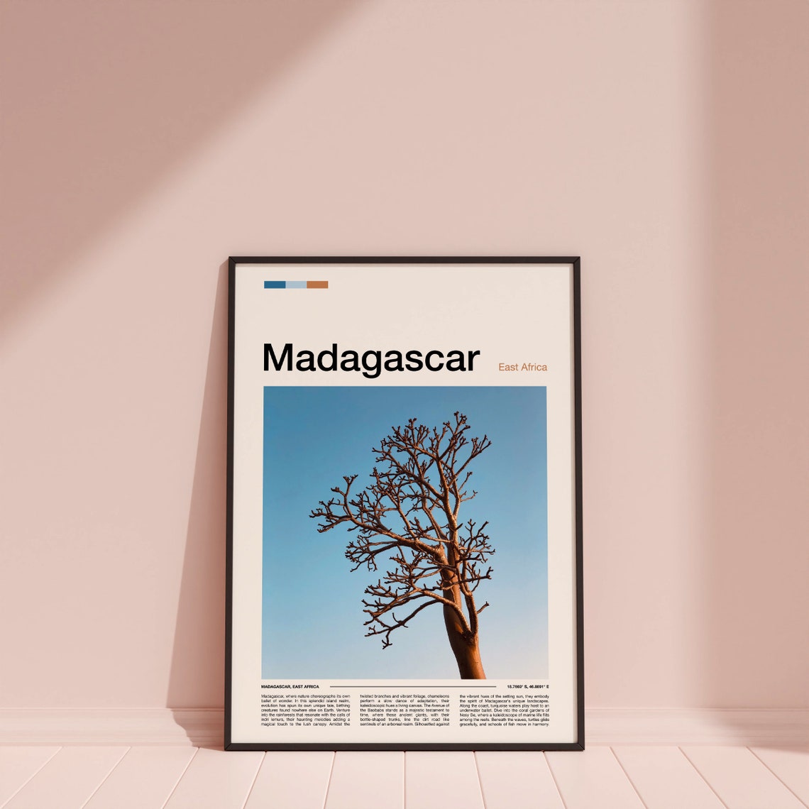 Madagascar Baobab Tree Branches Blue Sky Nature Photography Poster - Image 4