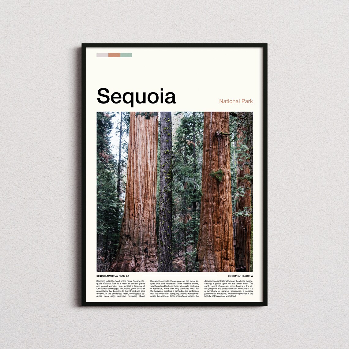 Sequoia National Park California Giant Redwood Trees Forest Poster