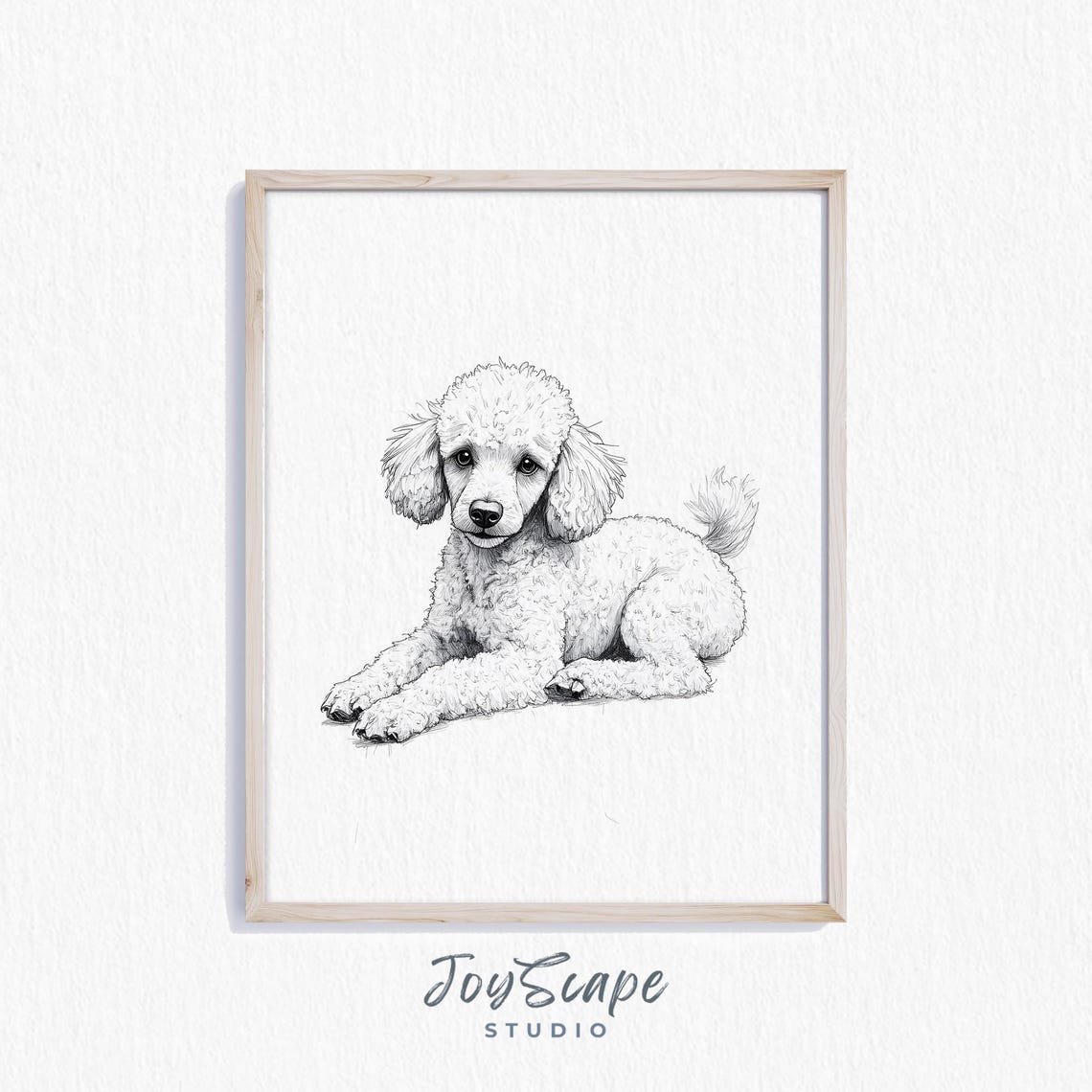 Poodle Puppy Black and White Sketch Curly Lying Down Cute Poster