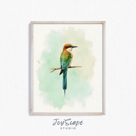 Colorful Bee Eater Bird Watercolor Painting Tropical Nature Poster