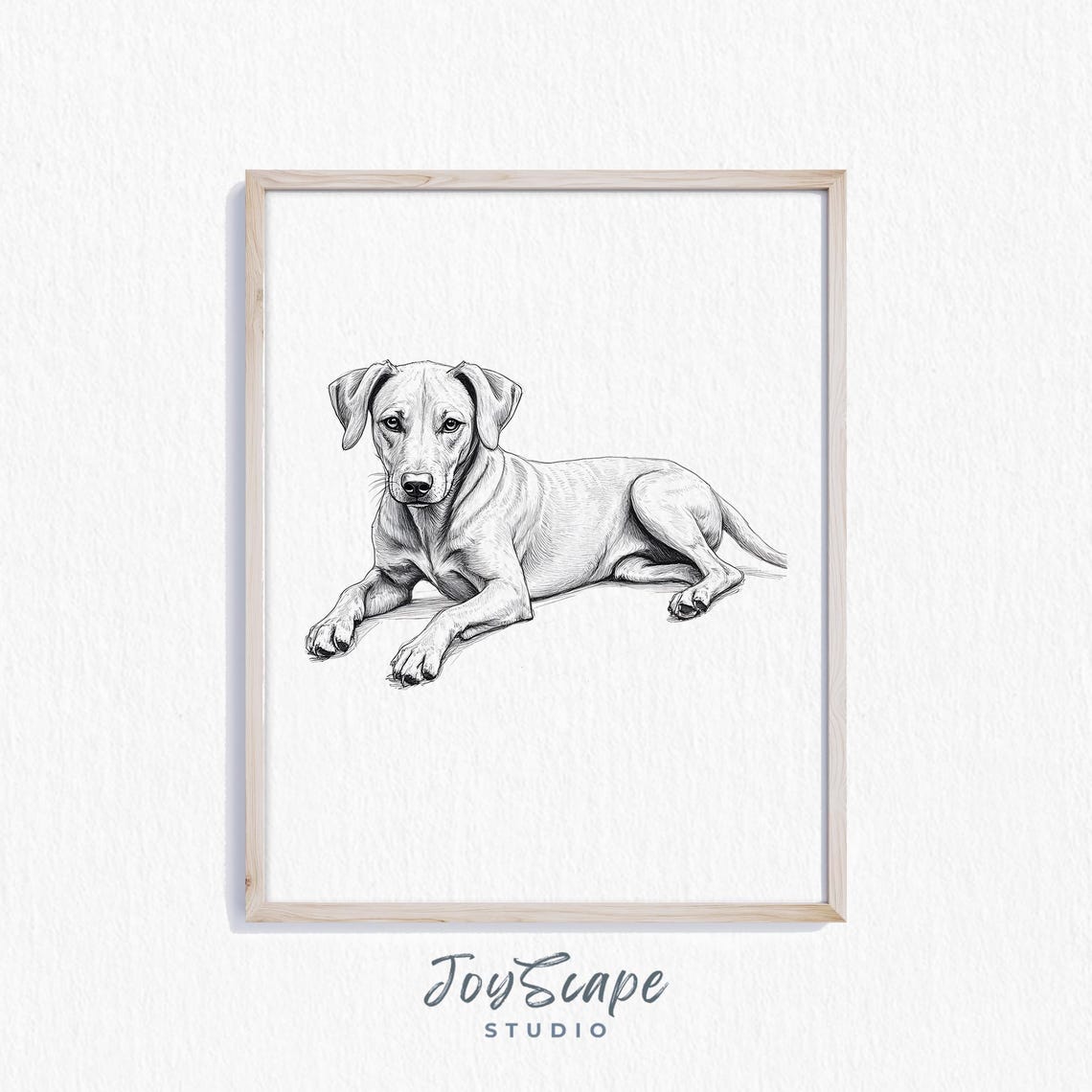 Vizsla Dog Black and White Sketch Lying Down Minimalist Pet Poster