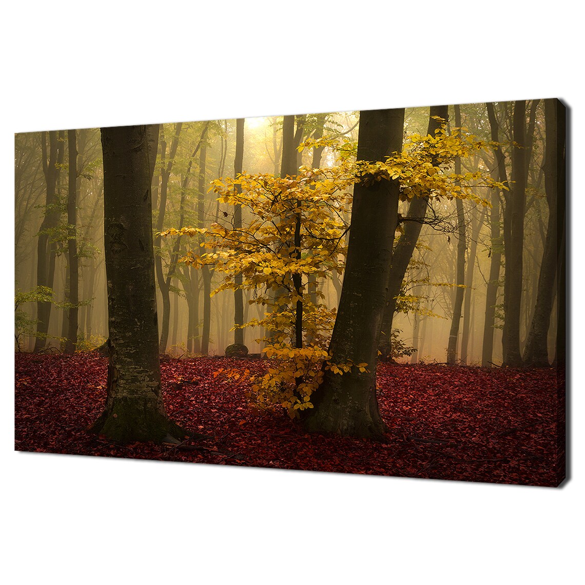 Beautiful Yellow Tree In Red Forest Modern Design Home Decor Print Wall Art Picture Wall Hanging