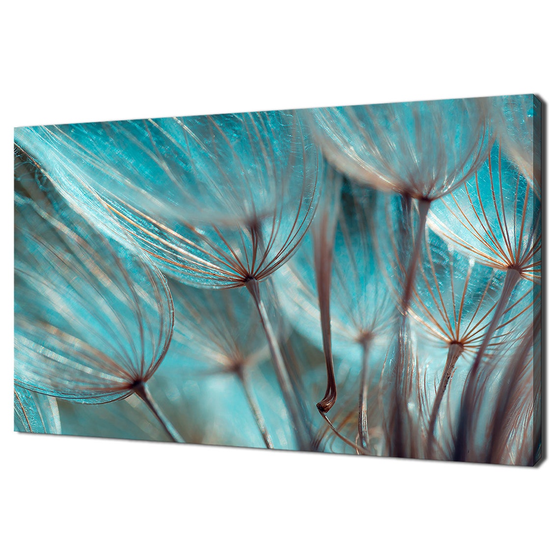 Dandelion Seeds Teal Blue Macro Close Up Botanical Nature Wall Art
