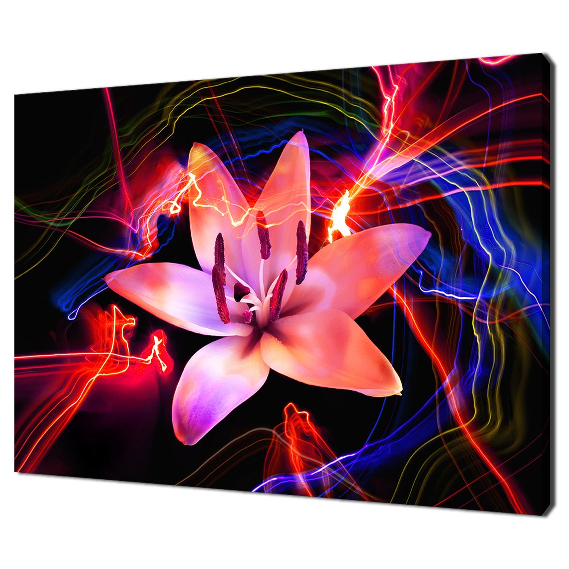 White Lily Flower Red Blue Neon Light Trails Black Art Photo Poster