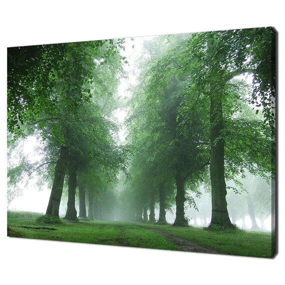 Green Trees In Morning Fog Modern Design Home Decor Print Wall Art Picture Wall Hanging