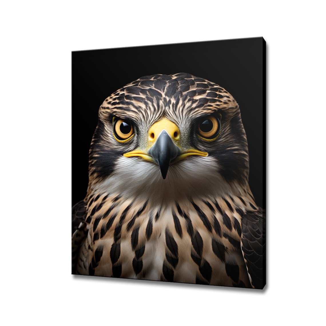 Falcon Face Portrait On Black Background Bird Of Prey Wall Art Poster