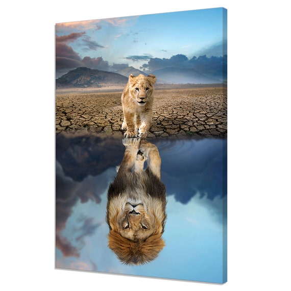 Baby Lion Cub vs Adult Lion, Modern Wall Art Print