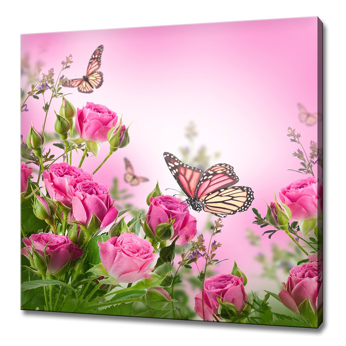 Pink Roses and Butterfly Modern Design Art Print