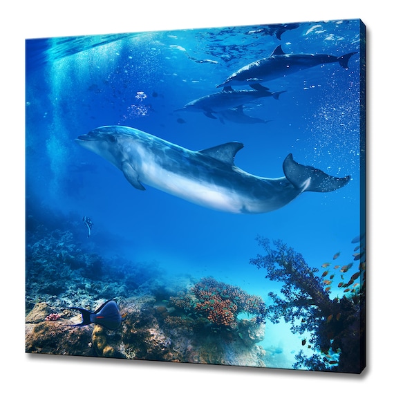 Underwater Dolphins Family Coral Reef Deep Blue Ocean Wall Art Poster