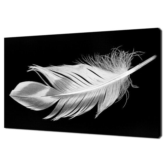 White Feather Fashion Print, Modern Home Decor