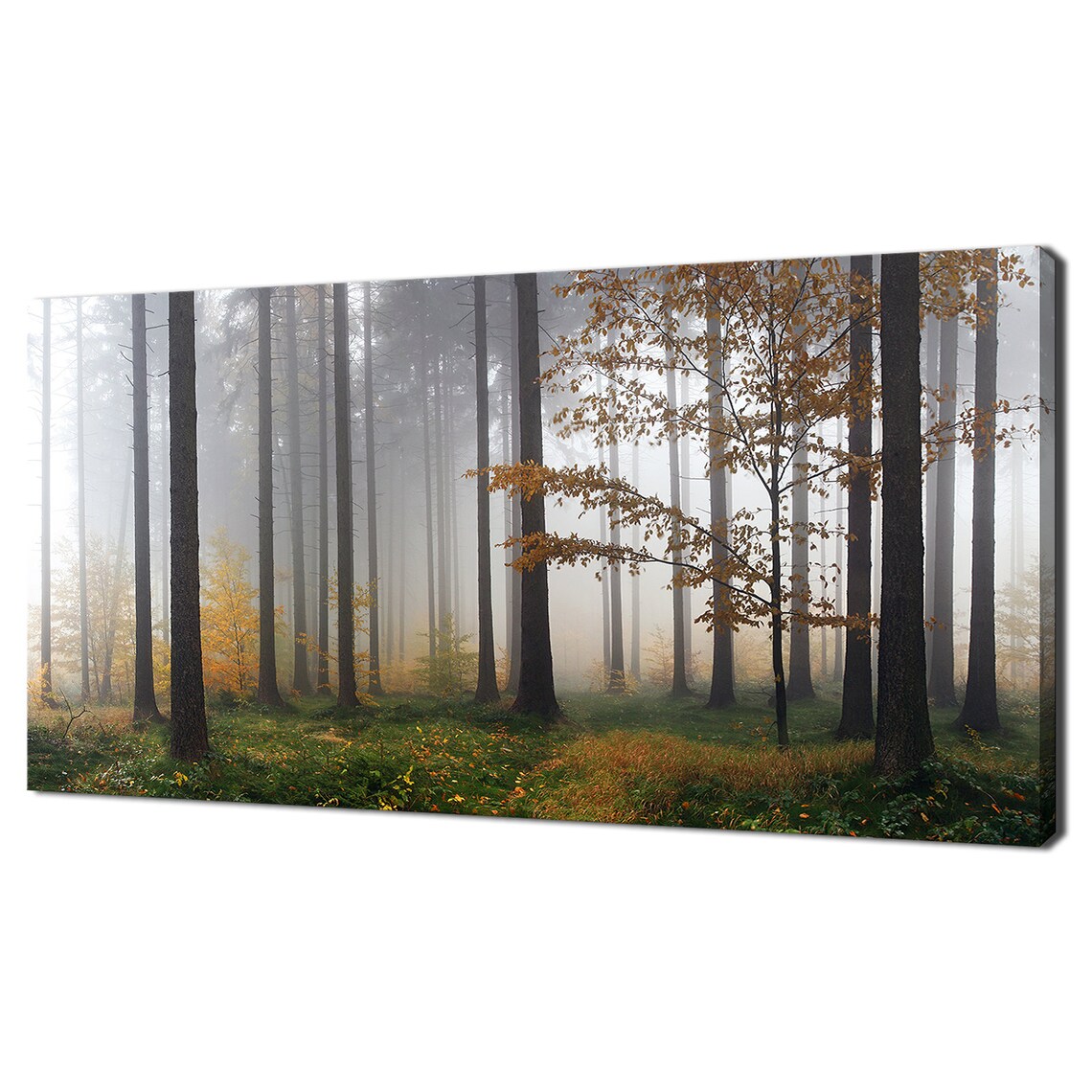 Beautiful Misty Forest Trees Landscape Modern Design Home Decor Print Wall Art Picture