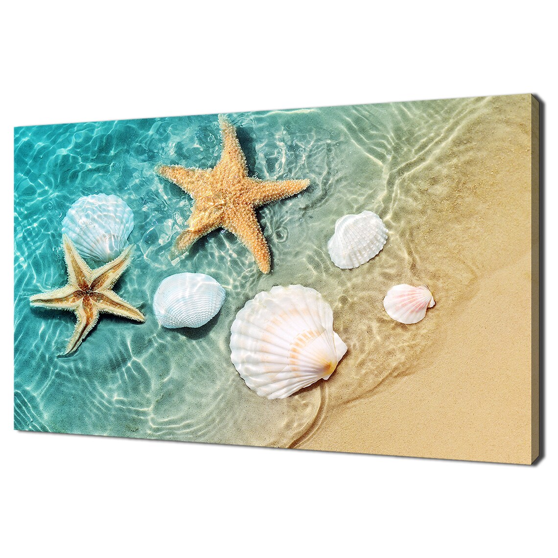 Starfish And Seashell On The Summer Sandy Beach Modern Design Decor Print Wall Art Picture
