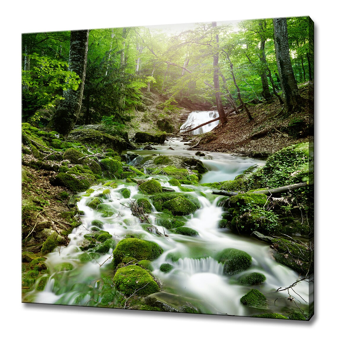 Forest Waterfall Rocks, Moss-Covered Green Wall Art Print