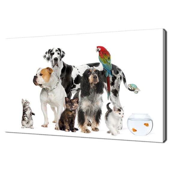 Adorable Group Of Pets Dogs Cats Parrot Goldfish Cute Animals Photo Poster