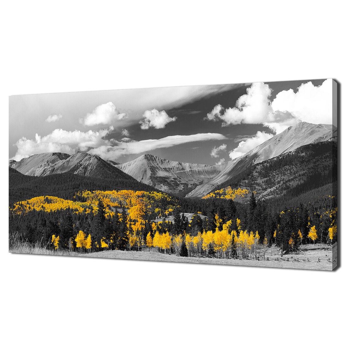 Fall Aspen Forest Black Yellow Trees Mountains Modern Design Home Decor Print Wall Art Picture