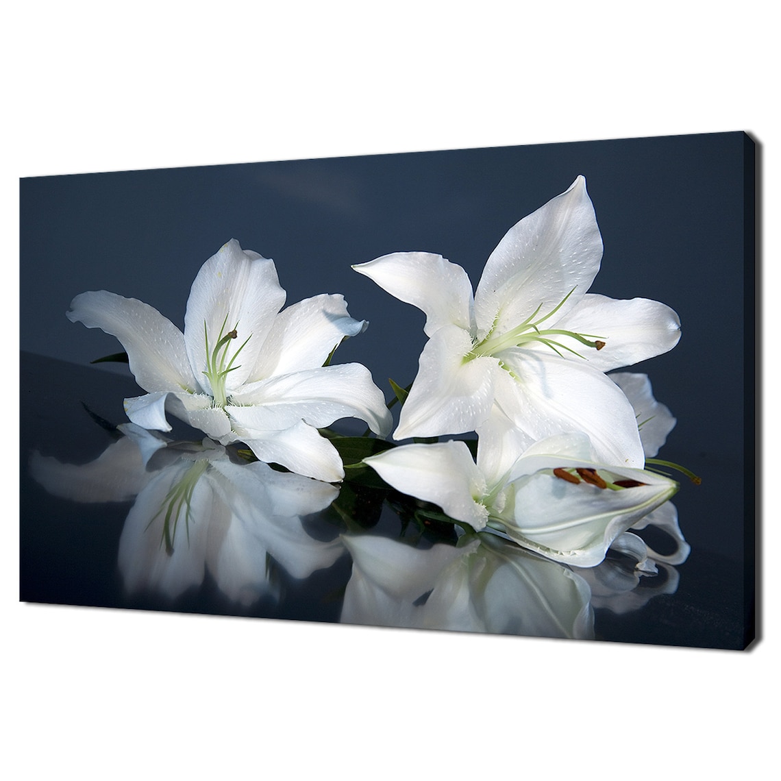 White Lily Flowers, Modern Floral Design Art Print