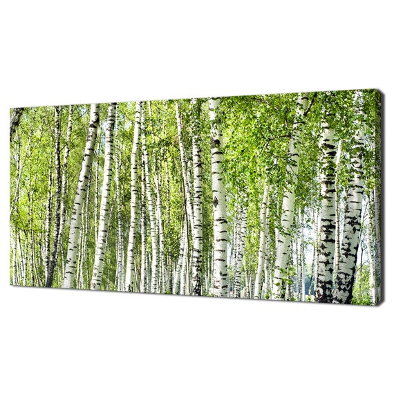 Birch Forest Grove, Modern Landscape Art Print