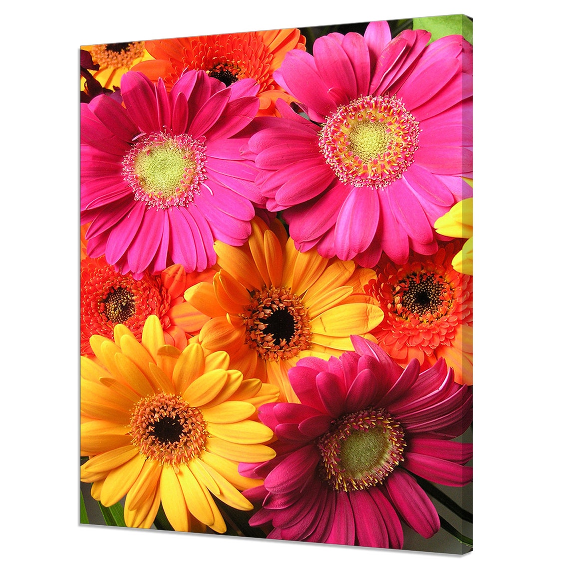 Gerbera Daisy Bouquet Pink Orange Yellow Floral Cheerful Print