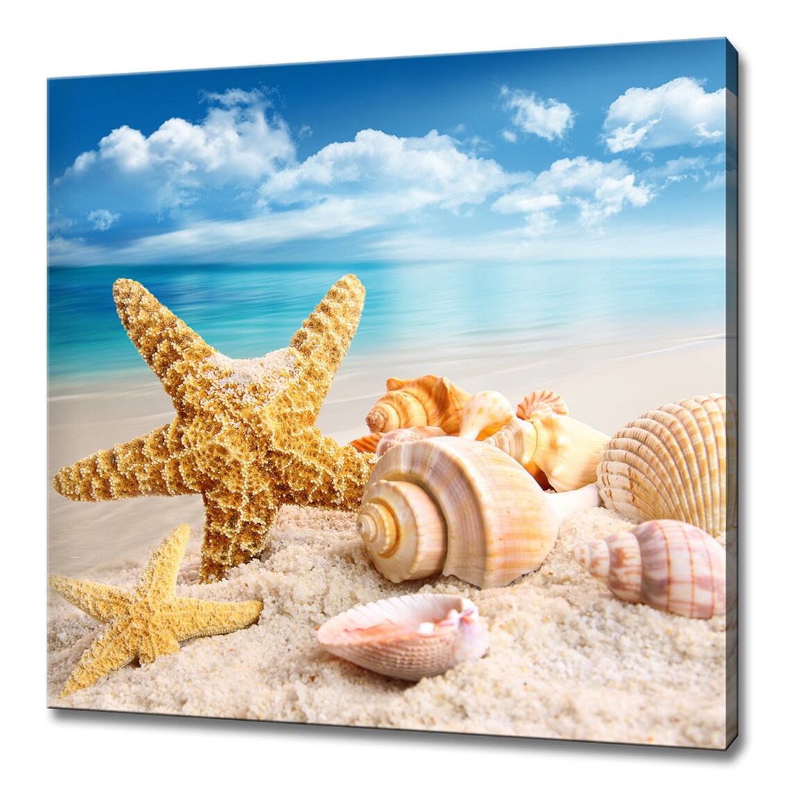 Starfish And Seashells On The Beach Bathroom Spa Modern Design Home Decor Print Wall Art Picture