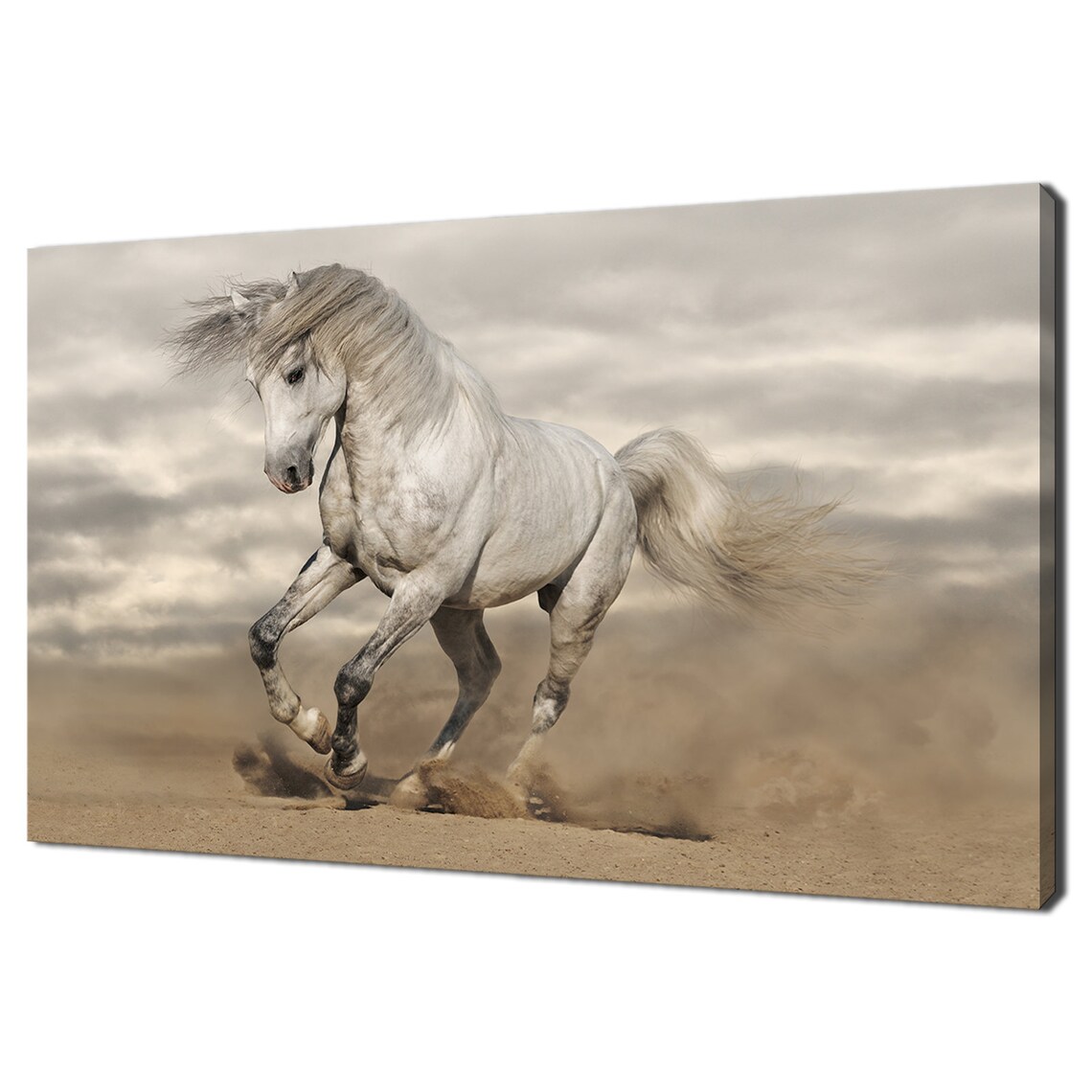 Horse Galloping in Desert, Modern Wall Art Print