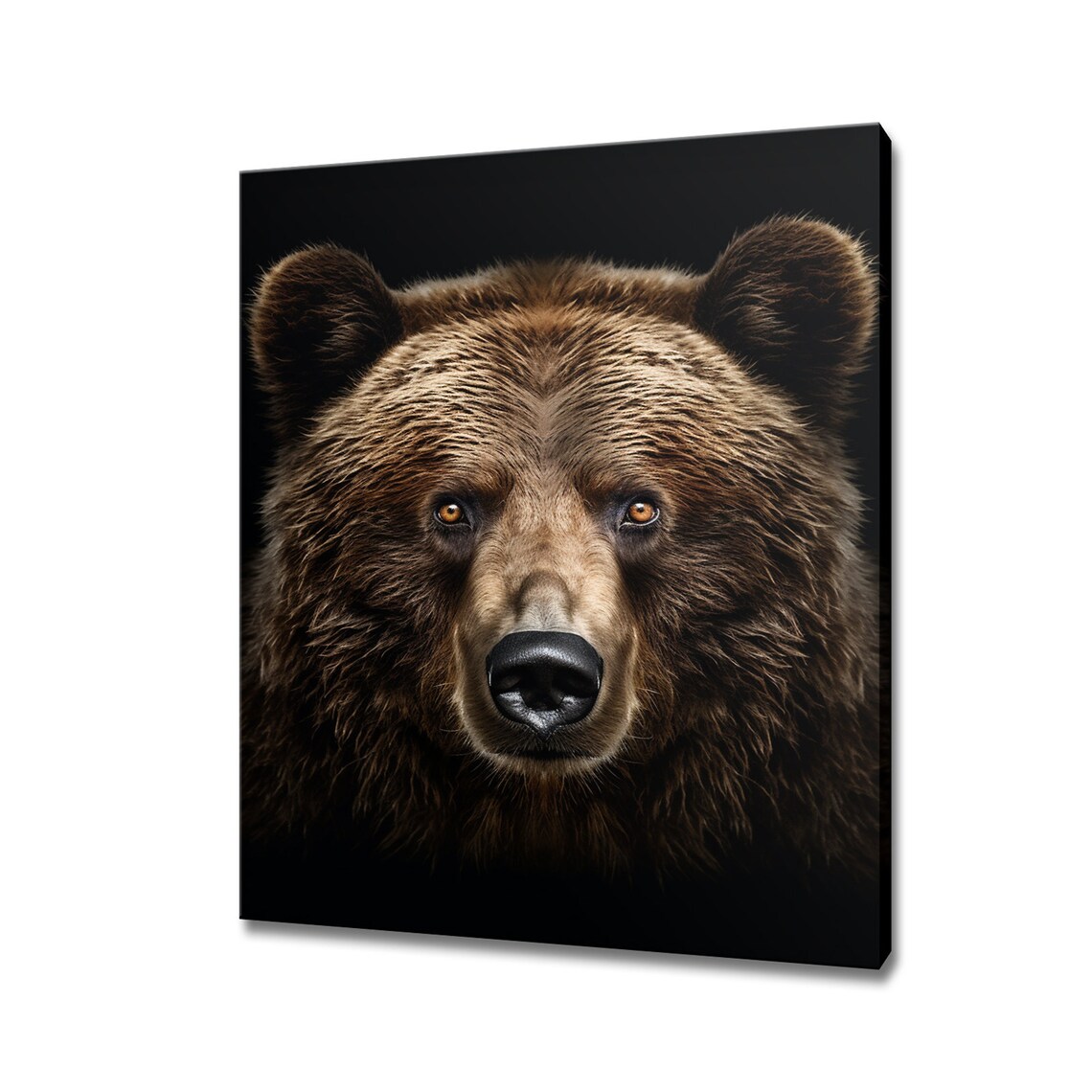 Brown Bear Close Up Portrait Dark Background Wildlife Photography Poster