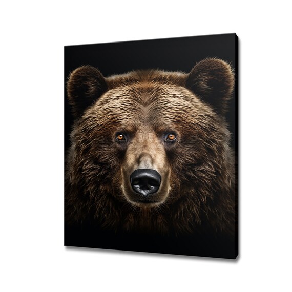 Brown Bear Close Up Portrait Dark Background Wildlife Photography Poster