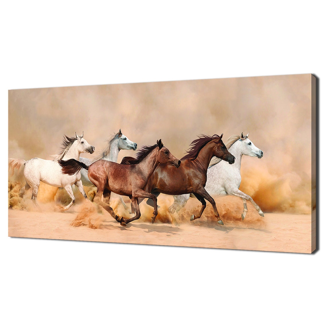 Five Wild Horses Galloping Through Desert Dust Herd Wildlife Poster
