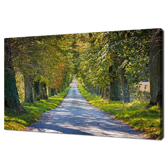 Beautiful Country Road Path With Trees Modern Design Home Decor Print Wall Art Wall Hanging