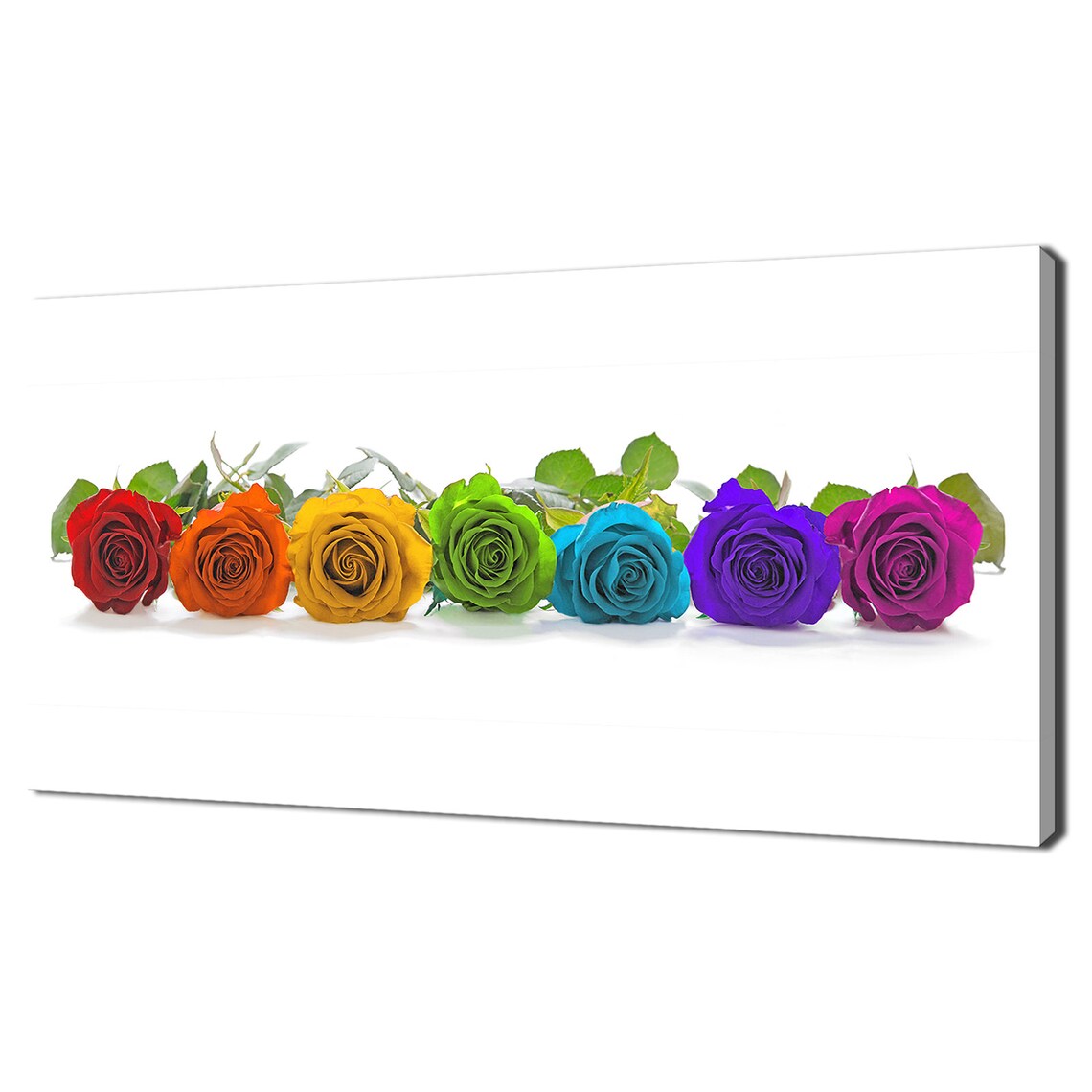 Rainbow Roses Modern Home Decor Wall Art Print