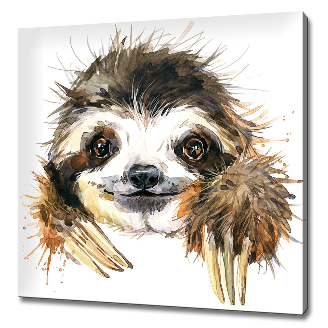 Sloth Watercolour Modern Design Wall Art Print