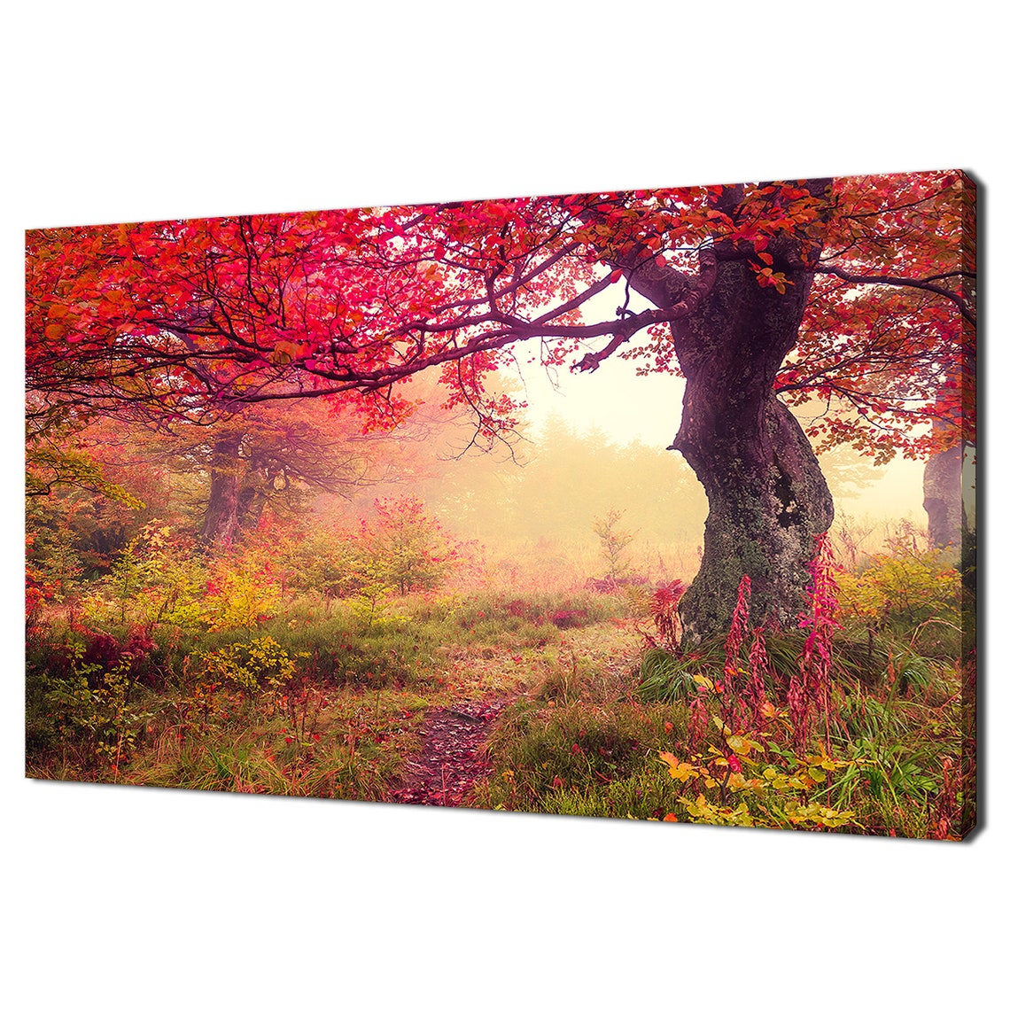 Misty Autumn Forest Red Tree Path Foggy Fall Nature Landscape Wall Art
