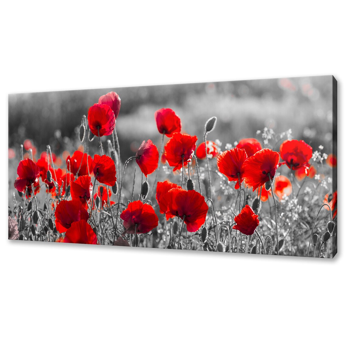 Red Poppies Field, Modern Floral Home Art Print