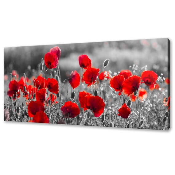 Red Poppies Field, Modern Floral Home Art Print