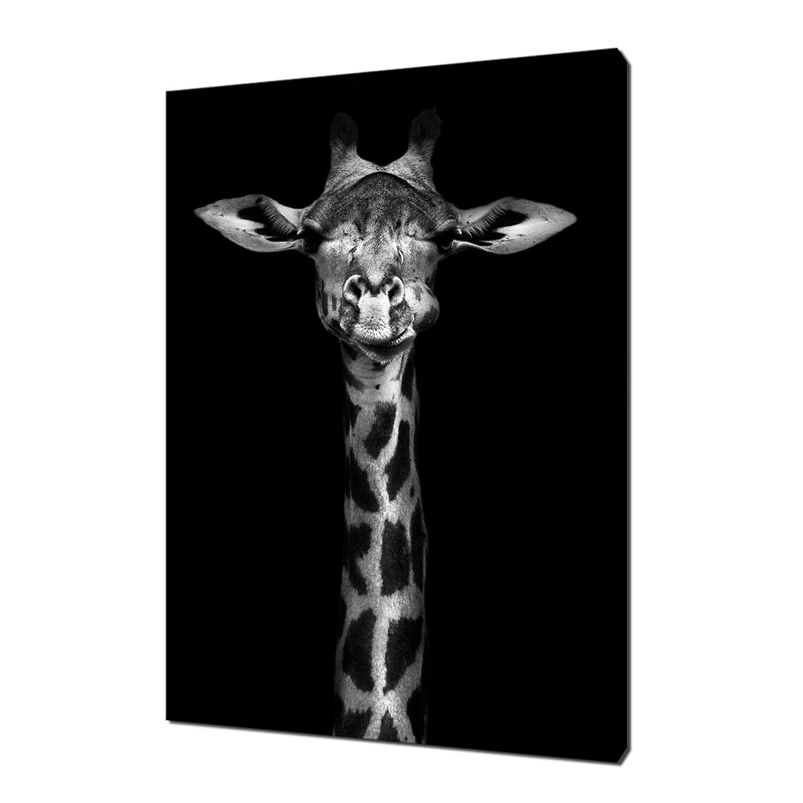 Black and White Giraffe Modern Design Art Print